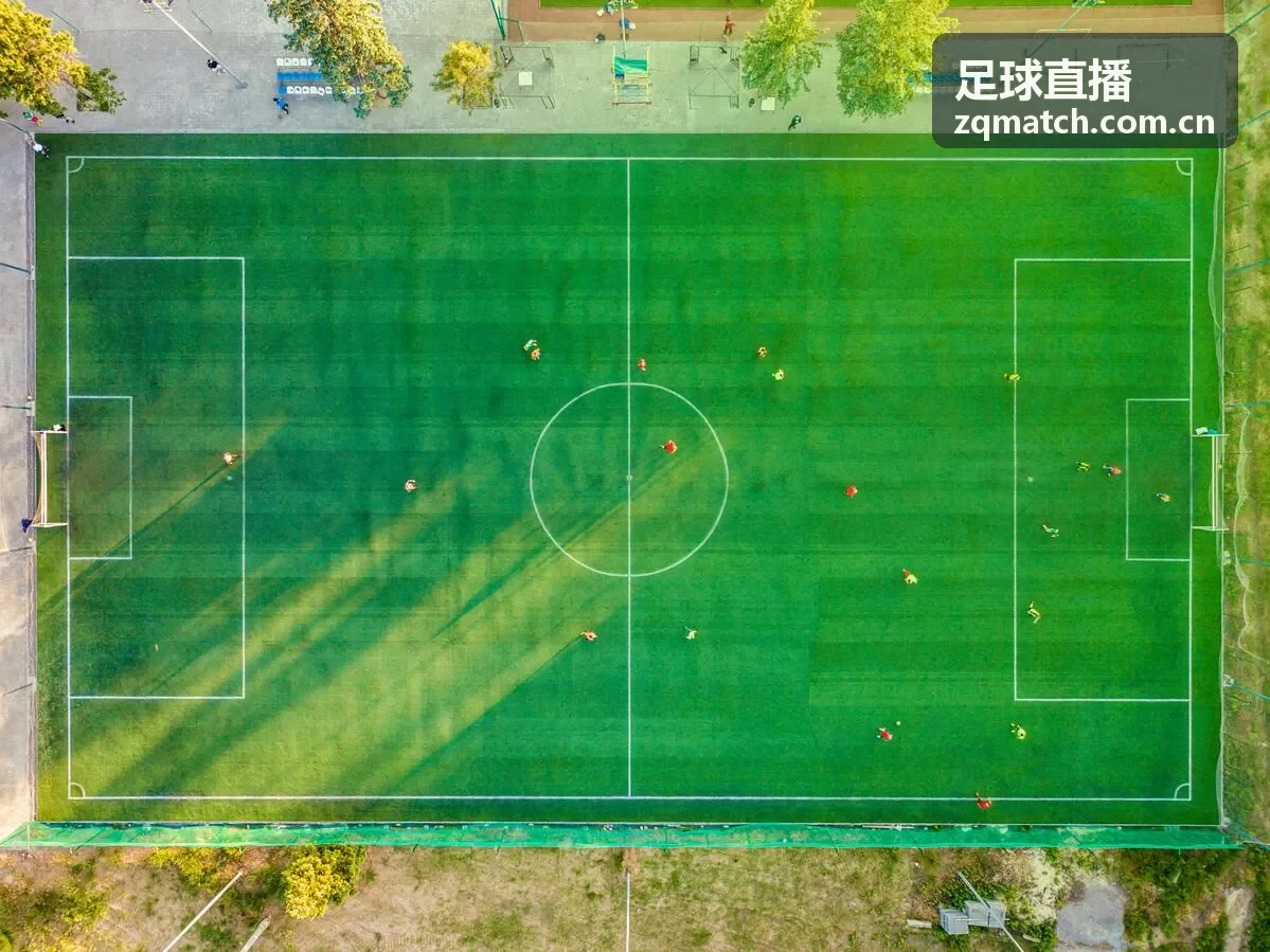 足球直播西甲联赛激烈拼抢画面